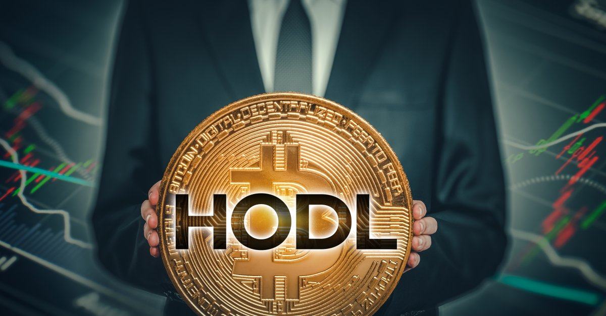 Bitcoin hodl биткоин криптовалюта