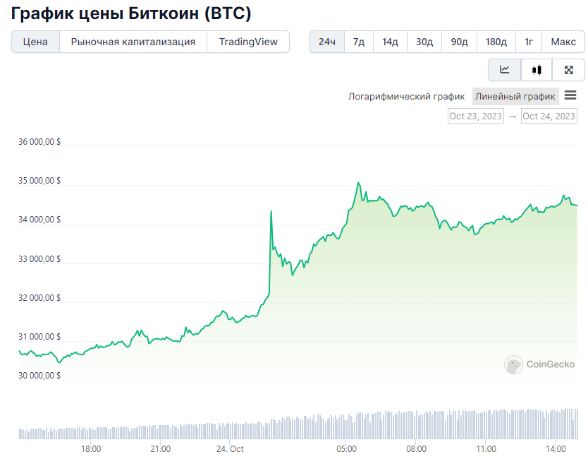 Bitcoin 24-hour price chart. Source: 24-часовой график цены биткоина. Источник: CoinGecko