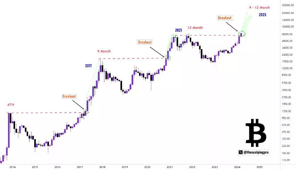 btc-market