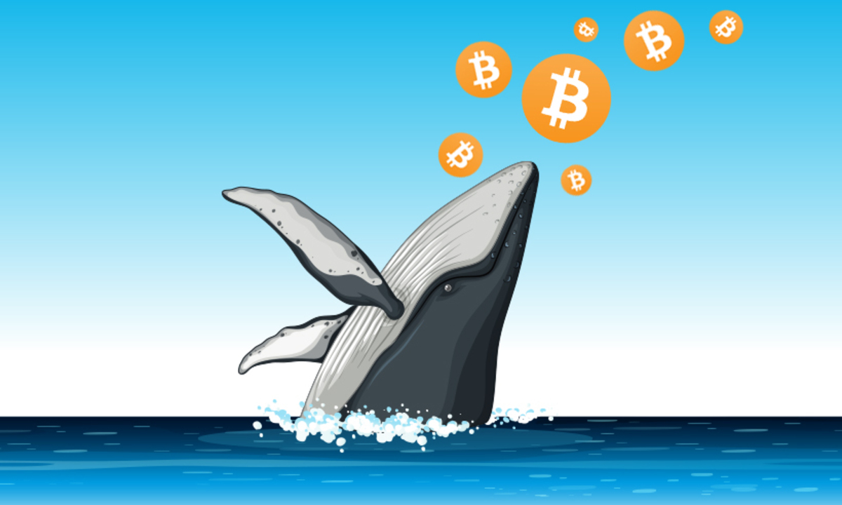 Whale Alert. Crypto Whale.