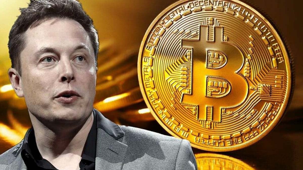 bitcoin ilon musk