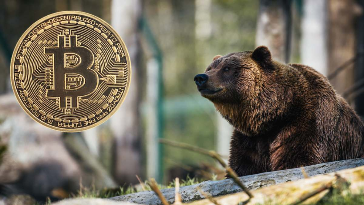 bitcoin bear