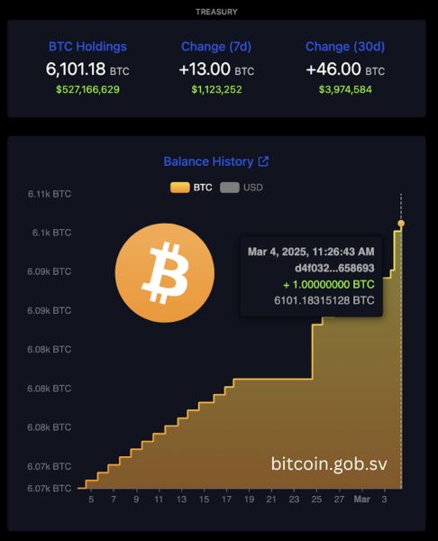 Статистика о биткоинах на балансе правительства Сальвадора