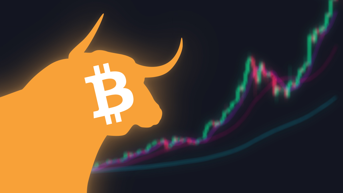 bitcoin bull