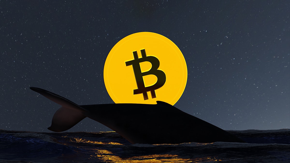 bitcoin whales